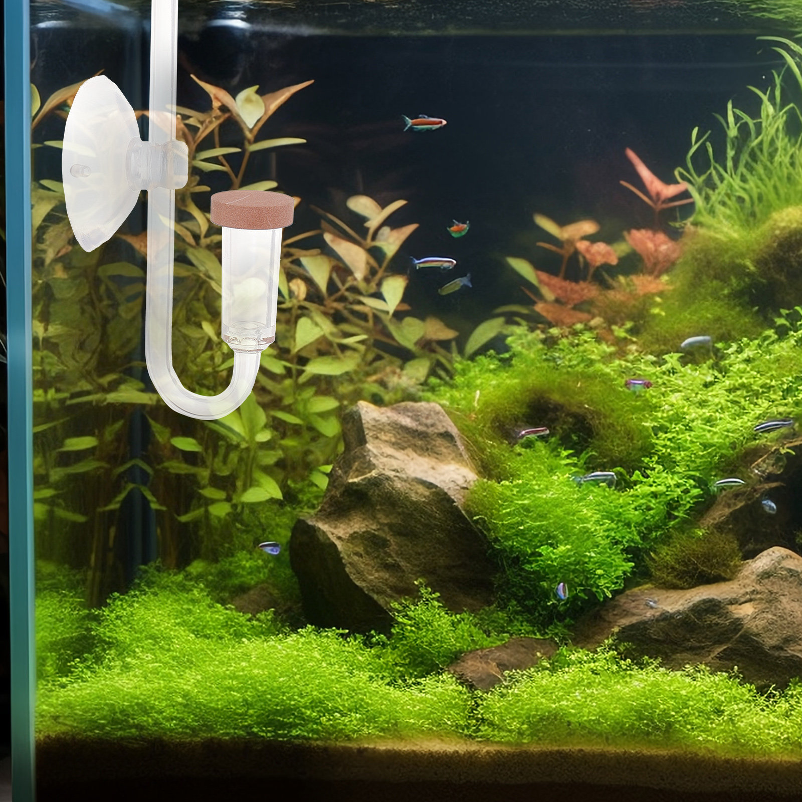 Aquarium Fish Rate - Co2 Diffuser for Aquarium Transparent Round
