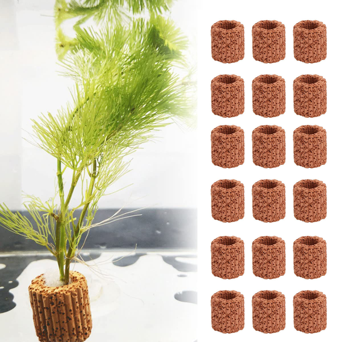 Aquarium Fish Only - 10/20Pcs Aquatic Water Plant Fixed Ring