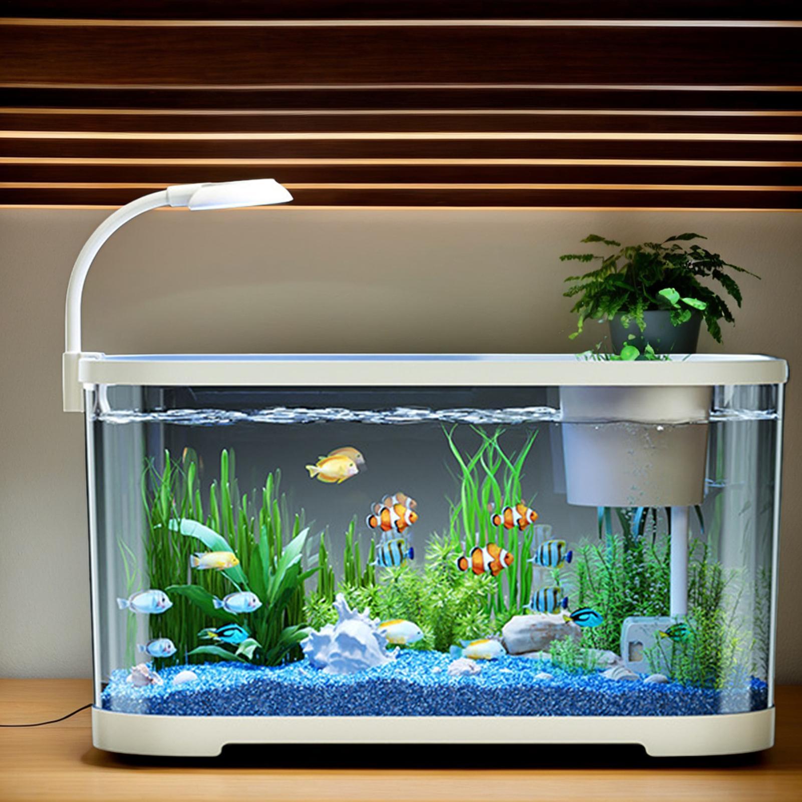 Aquarium Goldfish - Aquarium Kit Starter Betta Fish Tank