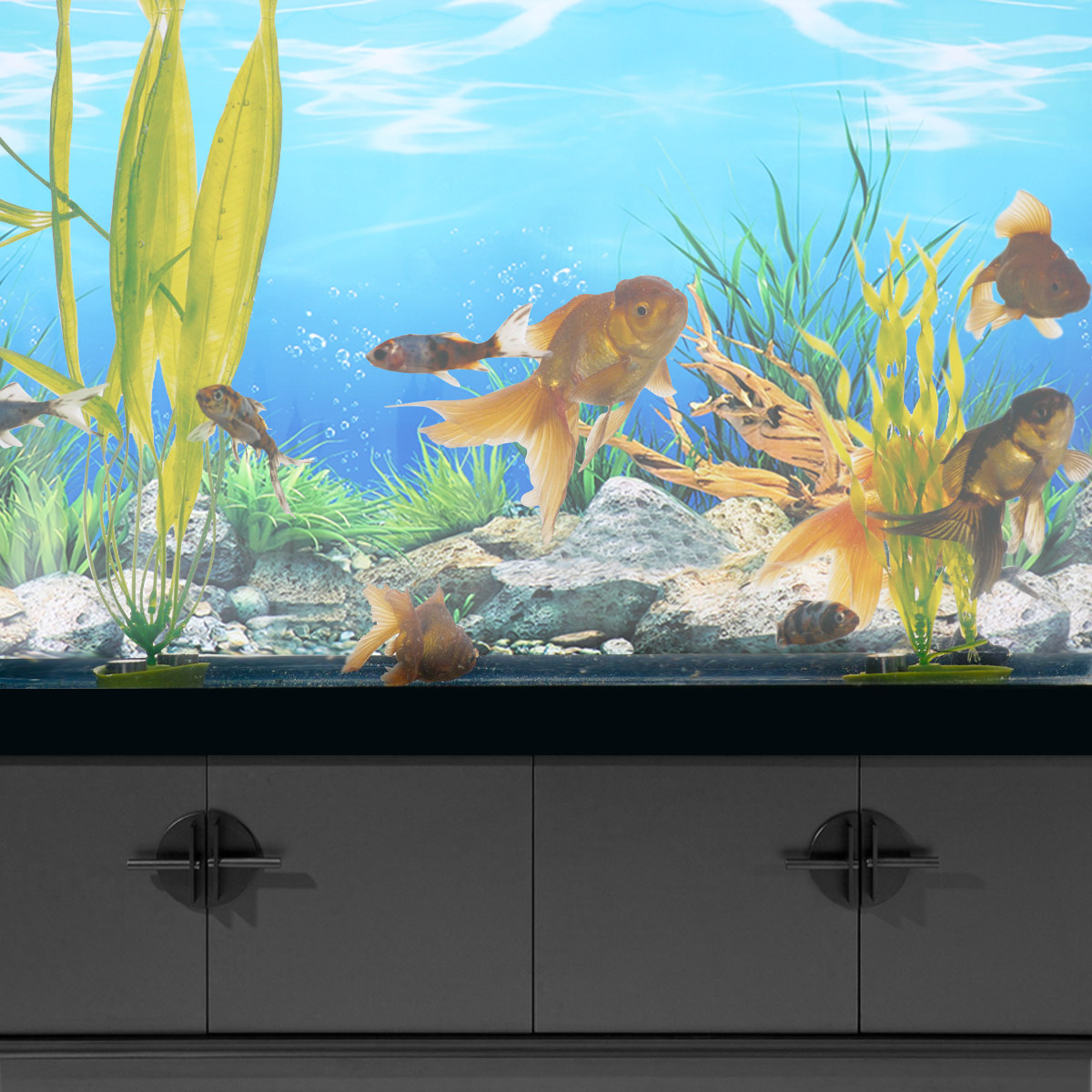 Fish In Aquarium Picture - Fish Tank Background Sticker Double Sided
