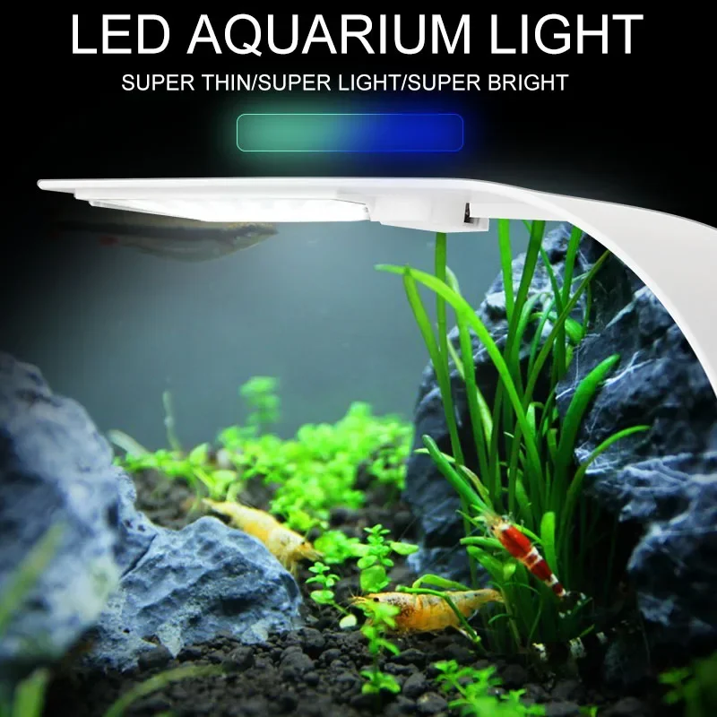 Fish In Aquarium Picture - Super Slim LED Aquarium Light Lighting