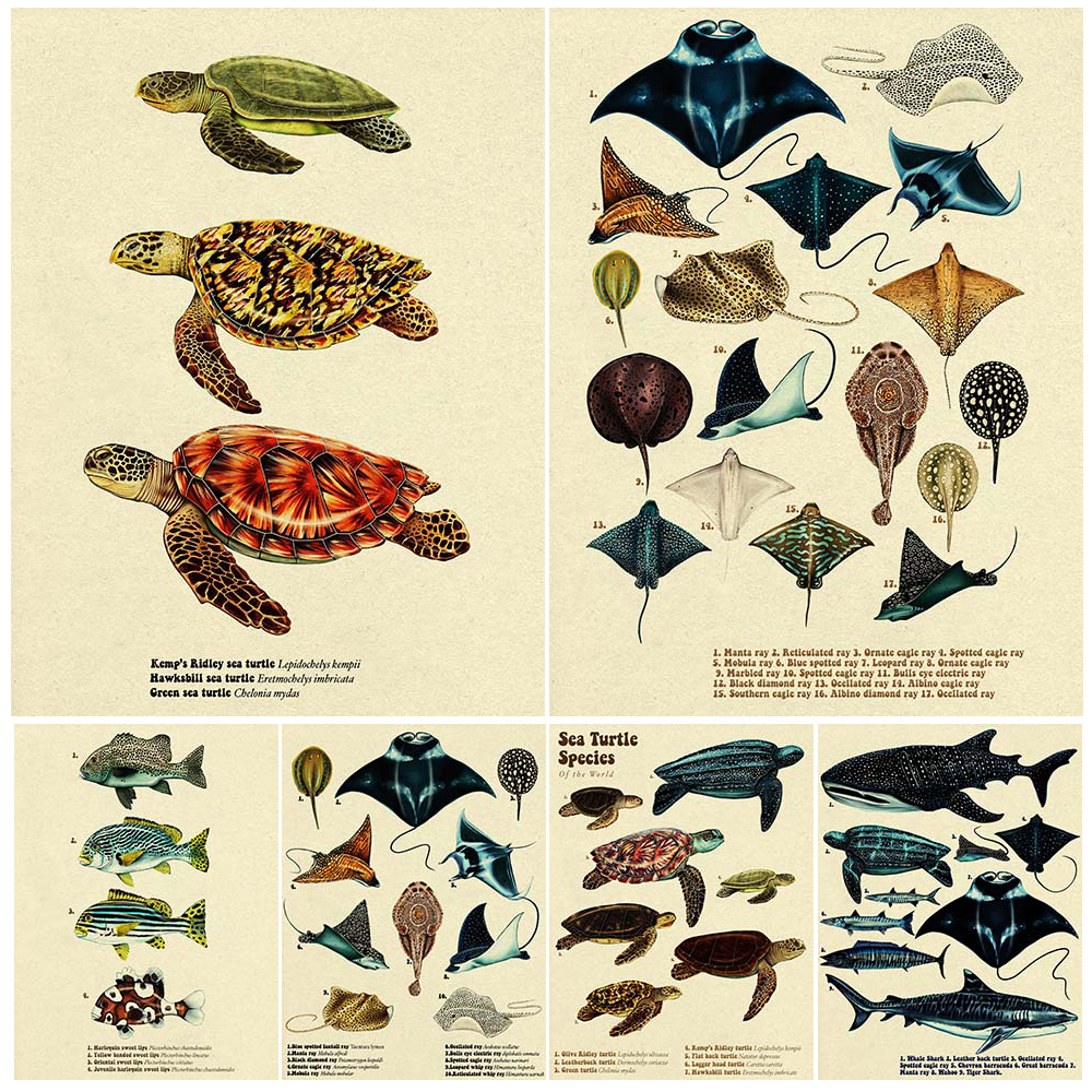 Fish In Aquarium Picture - Vintage Sea Fish Tortoise Shark Posters