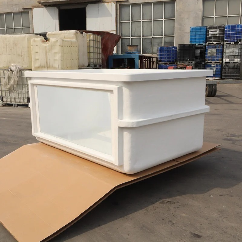 Aquarium Fish Supplier - FISH Cheap Sale Supplier High Quality