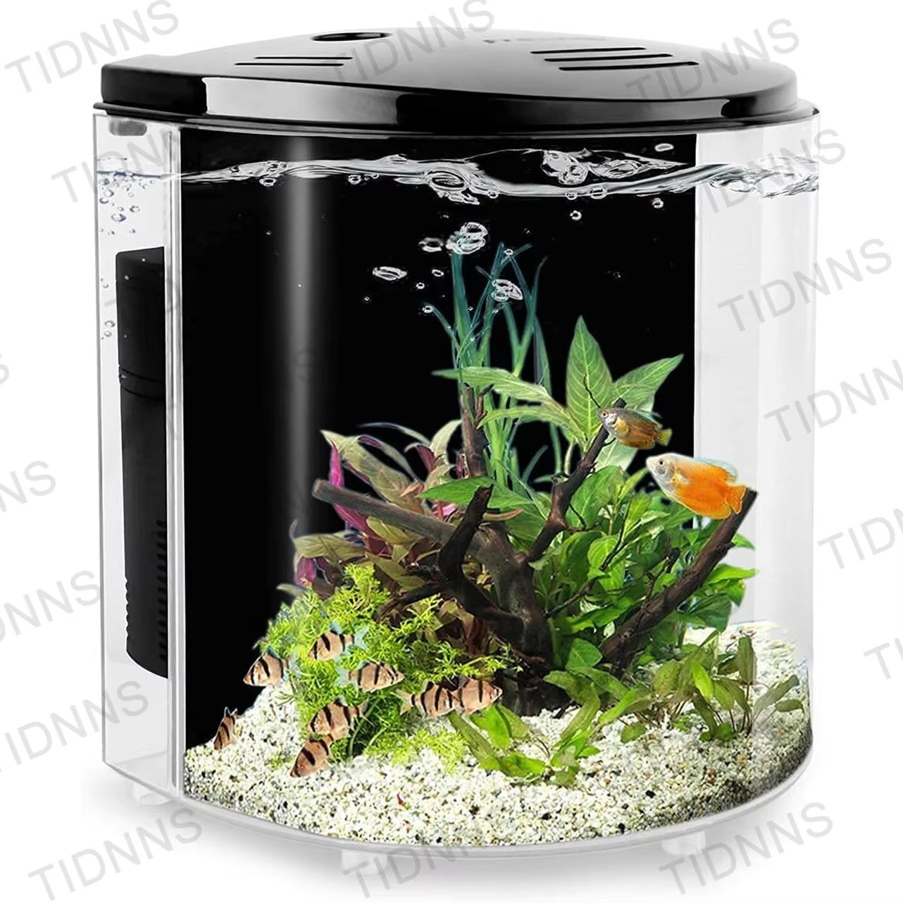 Aquarium Goldfish - Desktop Small Fish Tank Living Room