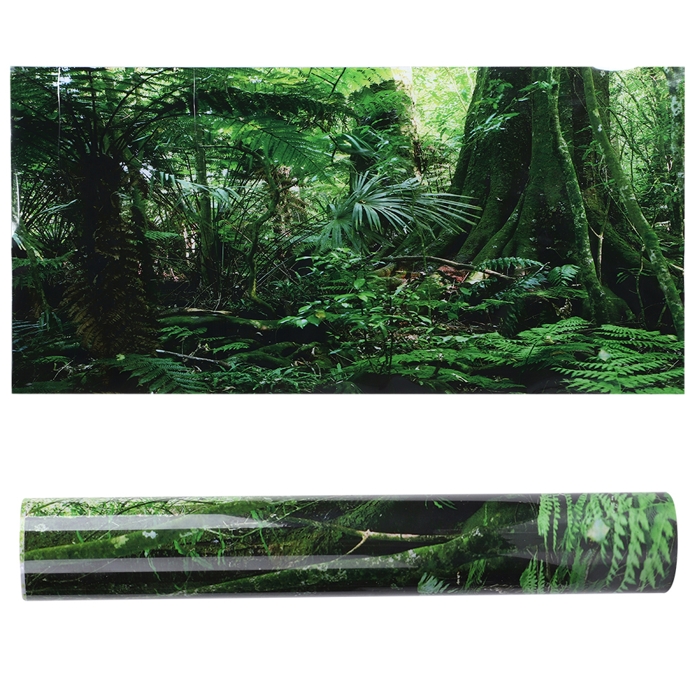Fish In Aquarium Picture - PVC Reptile Box Rainforest Background Poster