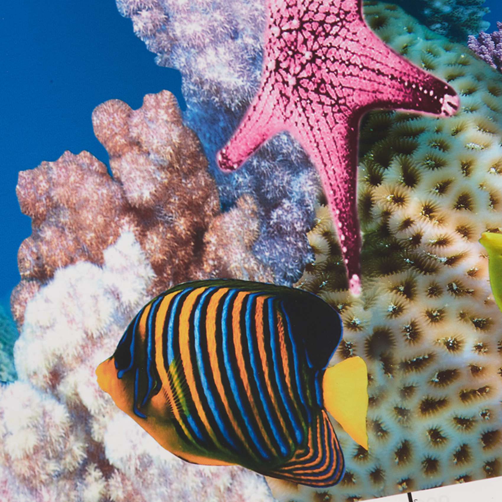 ABWR-Aquarium Background Paper - Fish In Aquarium Picture recension och pris
