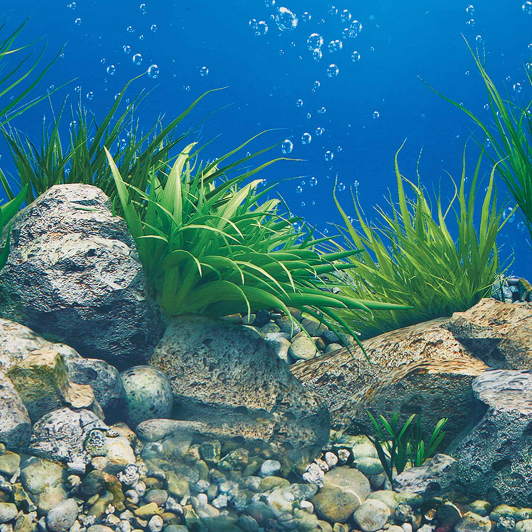 ABWR-Aquarium Background Paper - Fish In Aquarium Picture recension och pris