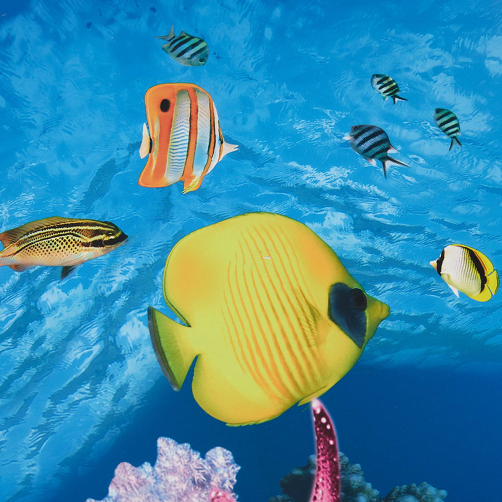 ABWR-Aquarium Background Paper - Fish In Aquarium Picture recension och pris
