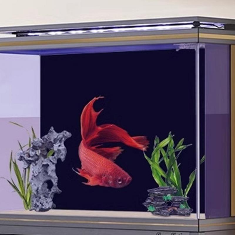 Black Aquarium Background Wall - Fish In Aquarium Picture recension och pris