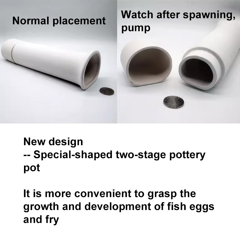 For Fish Shrimp Fish Tank Deco - Aquarium Fish Only recension och pris