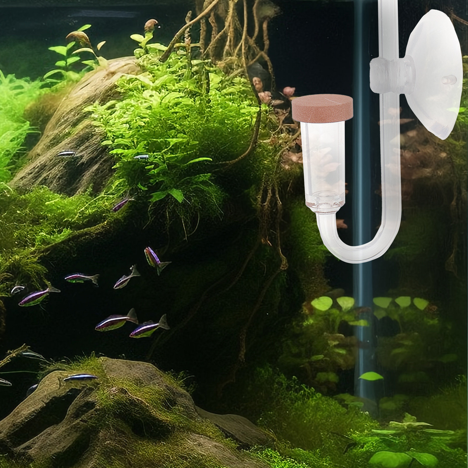Co2 Diffuser for Aquarium Tran - Aquarium Fish Rate recension och pris
