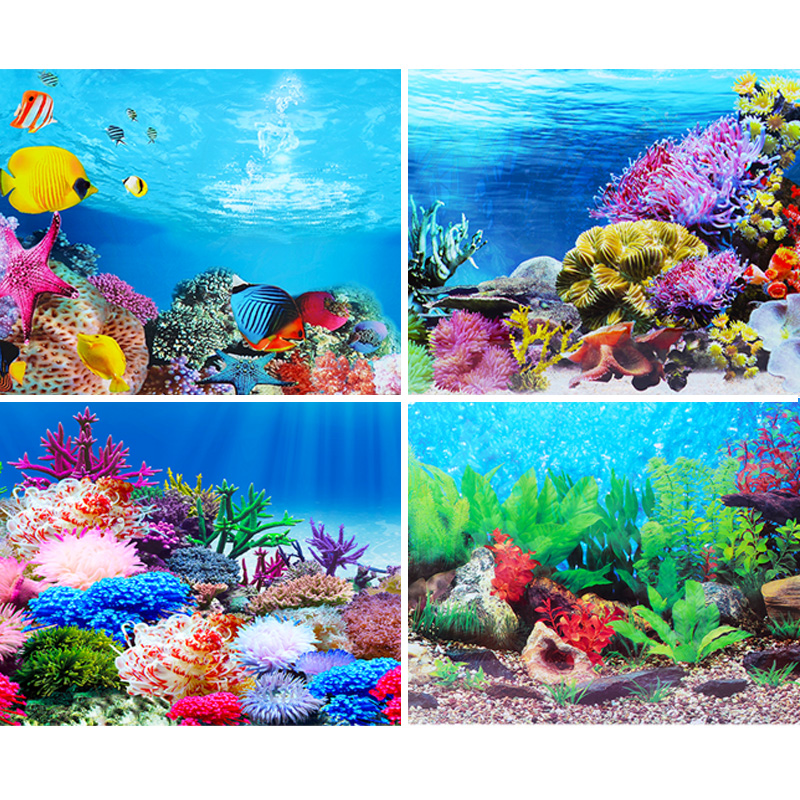 Fish tank background sticker p - Fish In Aquarium Picture recension och pris
