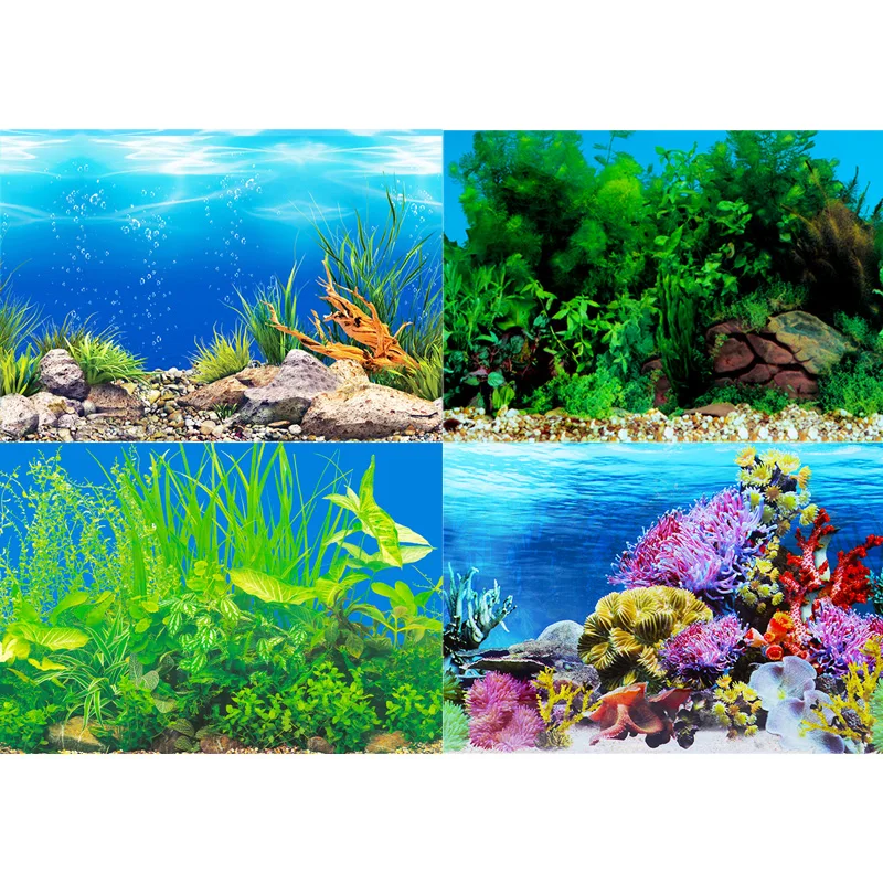 Fish tank background sticker p - Fish In Aquarium Picture recension och pris