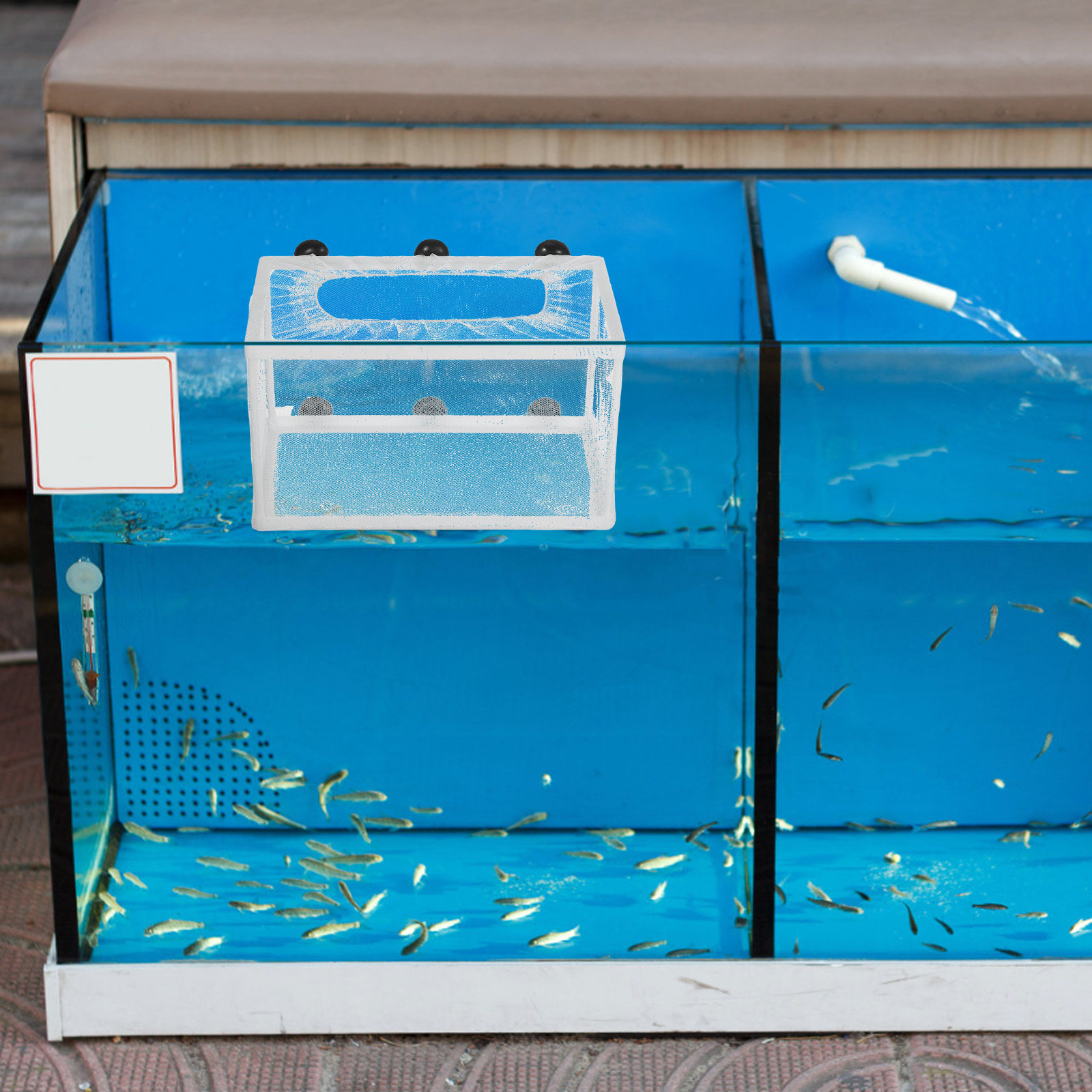 Fish Breeder Net Hatchery Box  - Aquarium Fish Rate recension och pris