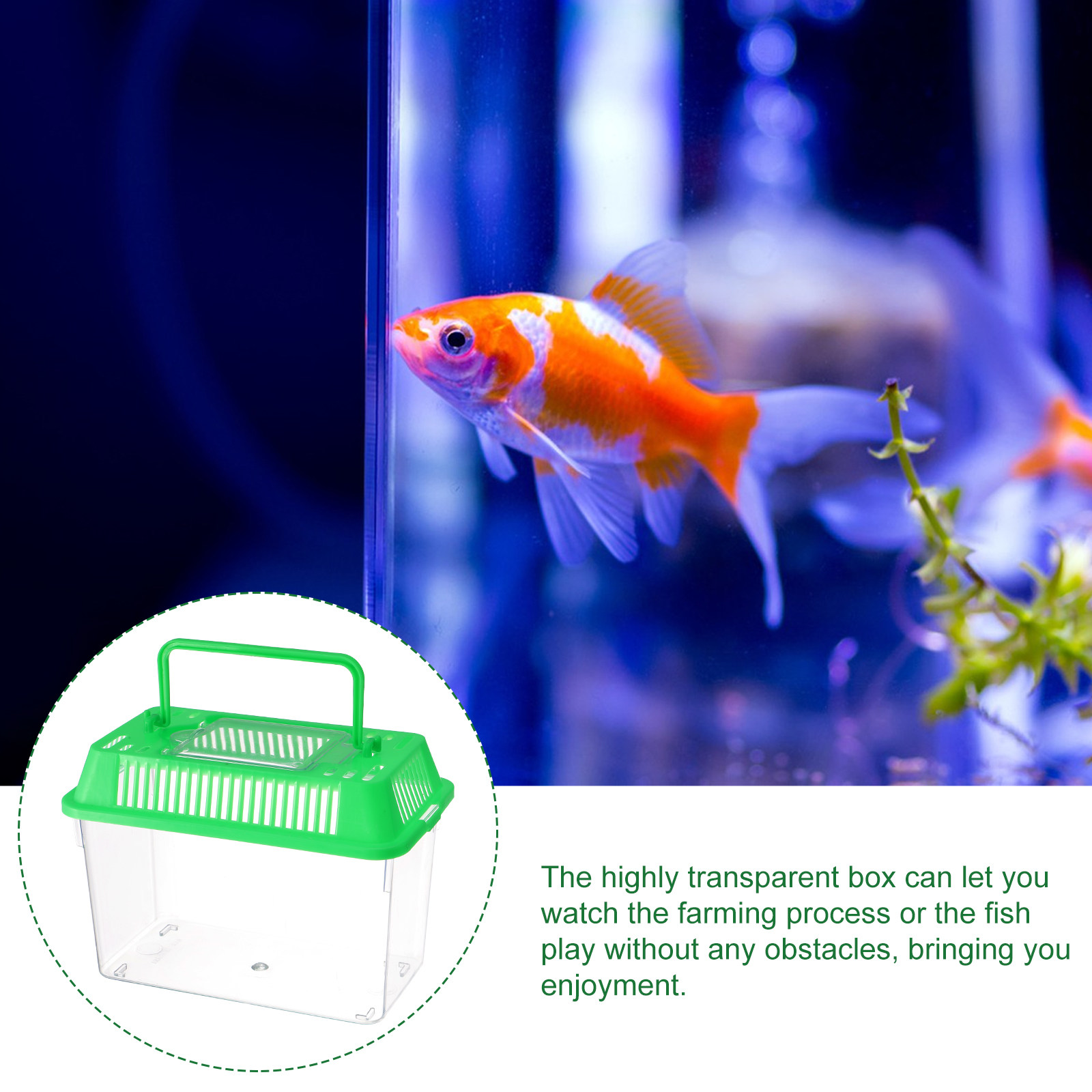 Mini Fish Tank for Pet Fish Go - Aquarium Goldfish recension och pris