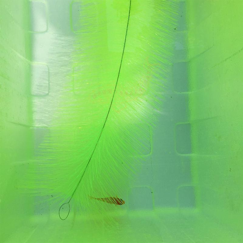 Breeding Grass for Koi Fish Eg - Aquarium Goldfish recension och pris