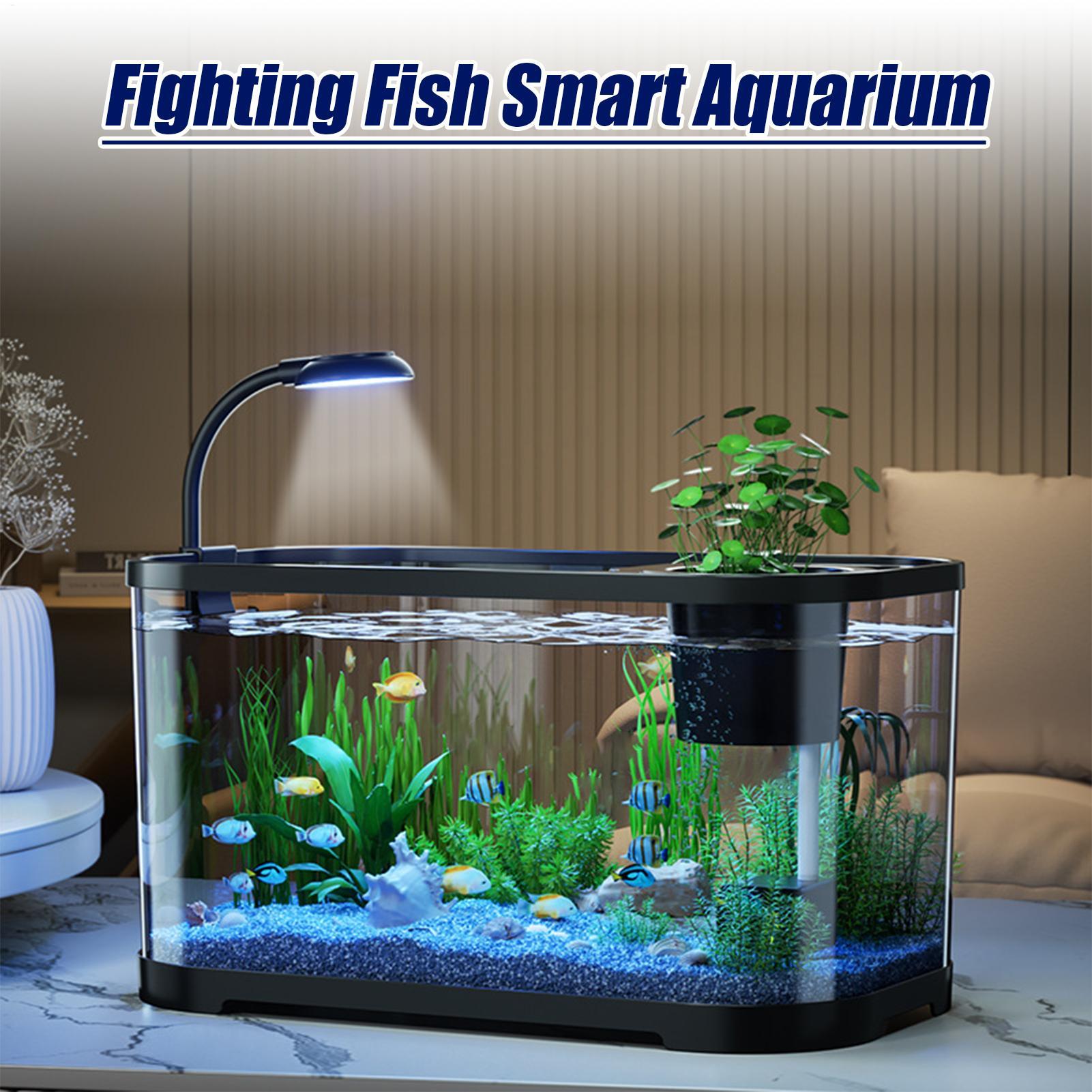 Aquarium Kit Starter Betta Fis - Aquarium Goldfish recension och pris
