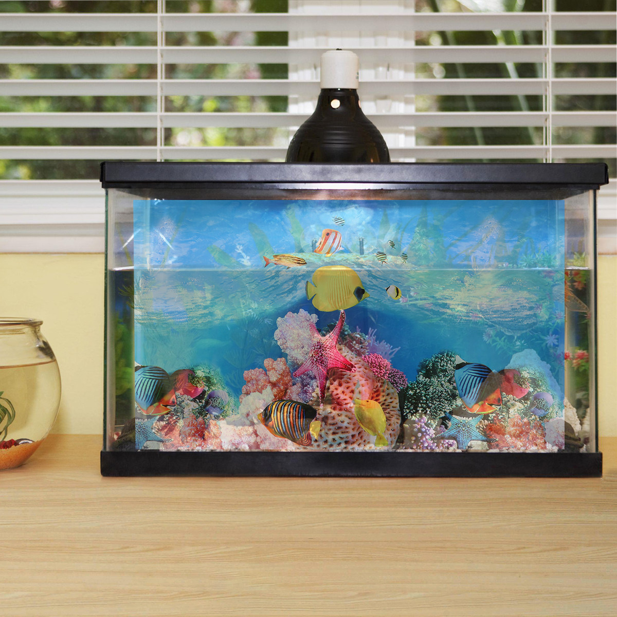 Fish Tank Background Sticker D - Fish In Aquarium Picture recension och pris