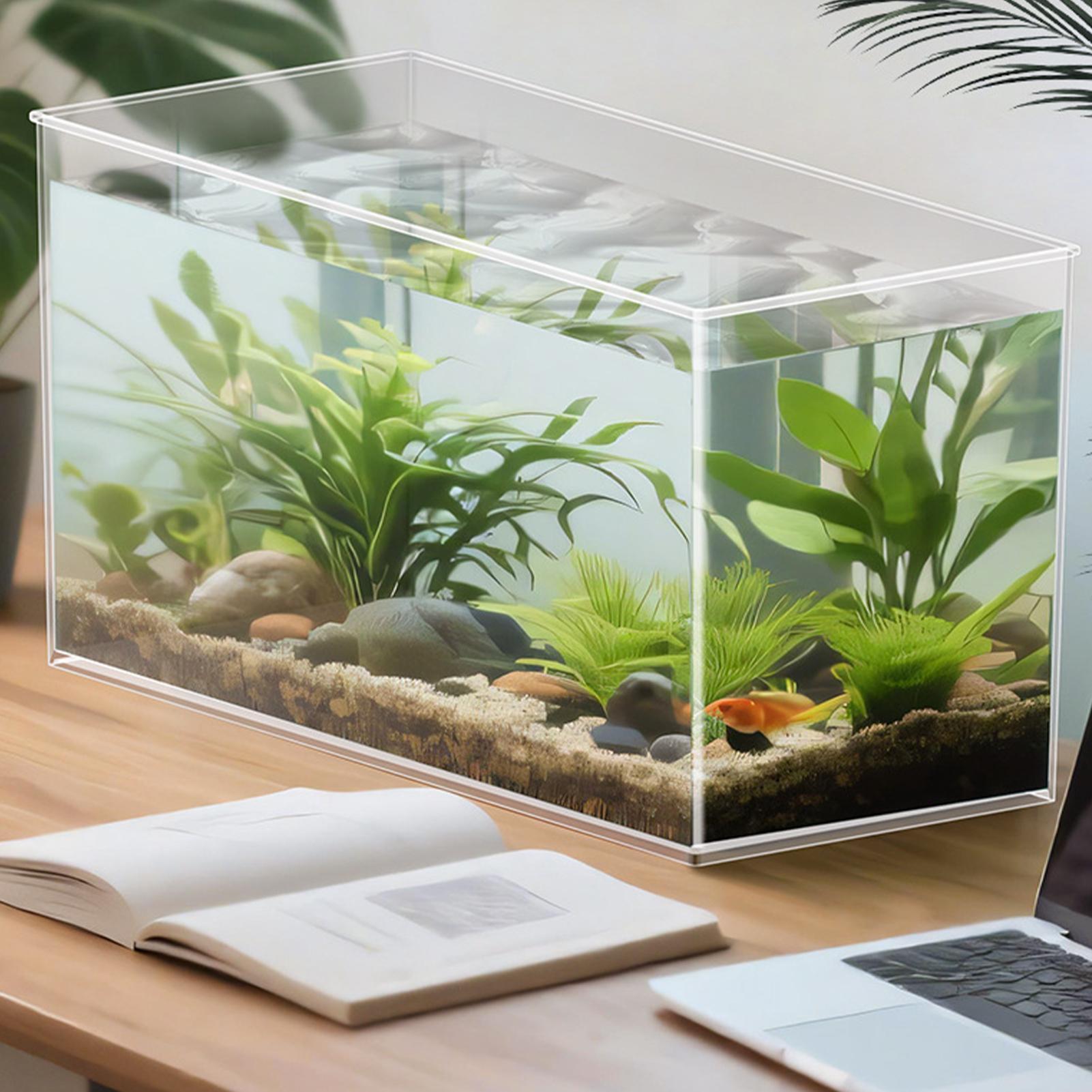 Small Fish Tank Betta Tank Ext - Aquarium Goldfish recension och pris