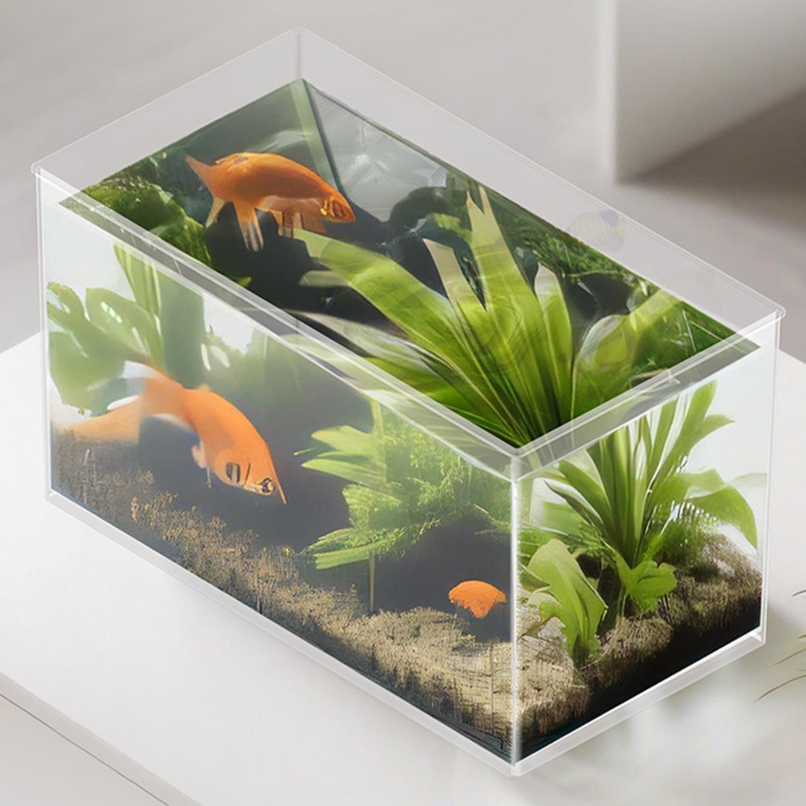Small Fish Tank Betta Tank Ext - Aquarium Goldfish recension och pris
