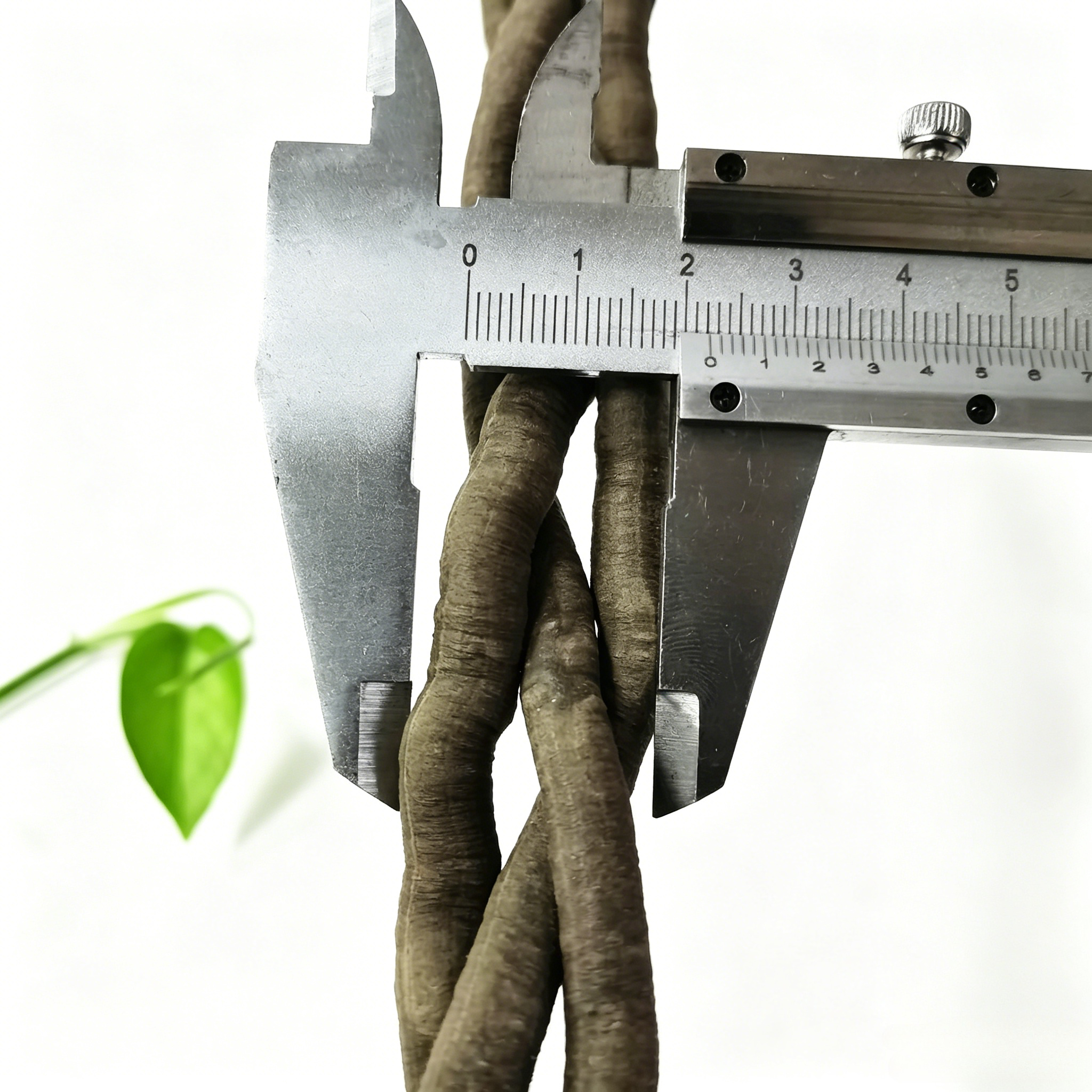 100cm Artificial Vine Fake Pla - Aquarium Fish Only recension och pris