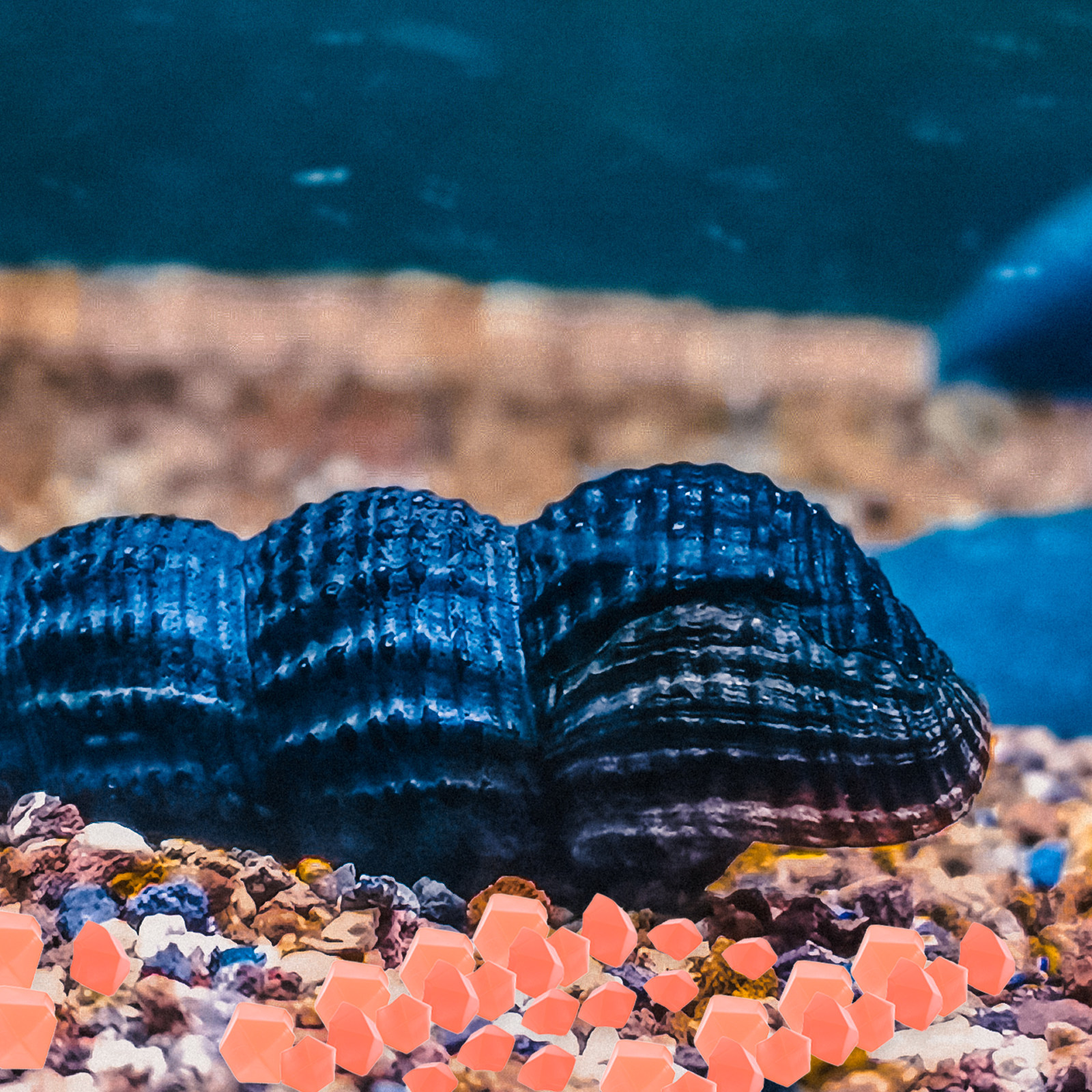 200Pcs Luminous Decorative Aqu - Aquarium Decoration Rock recension och pris