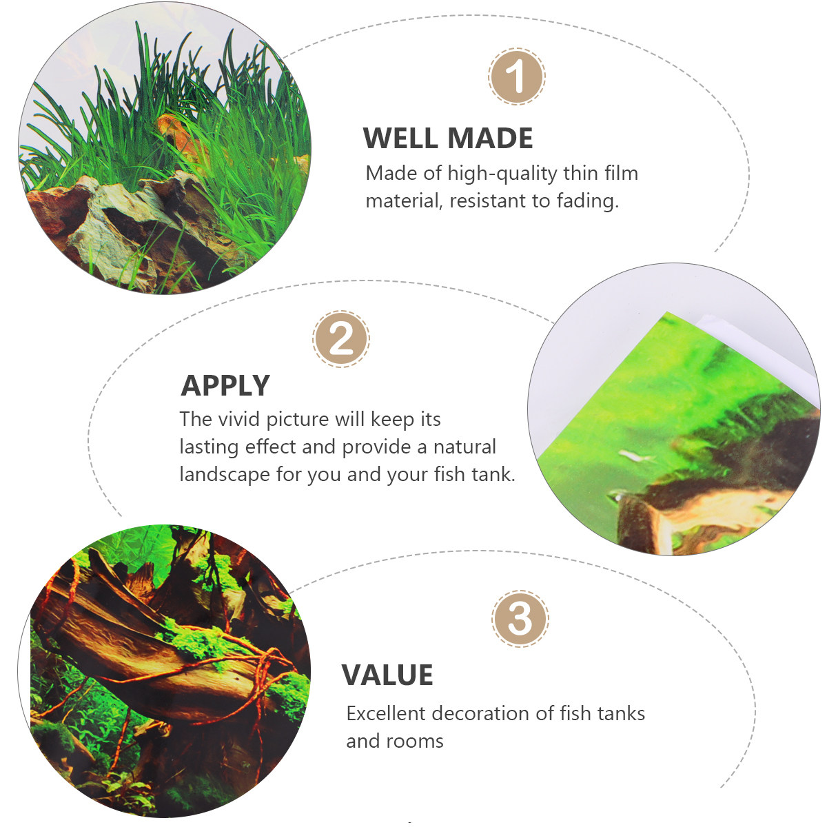 Thick PET Fish Tank Background - Fish In Aquarium Picture recension och pris