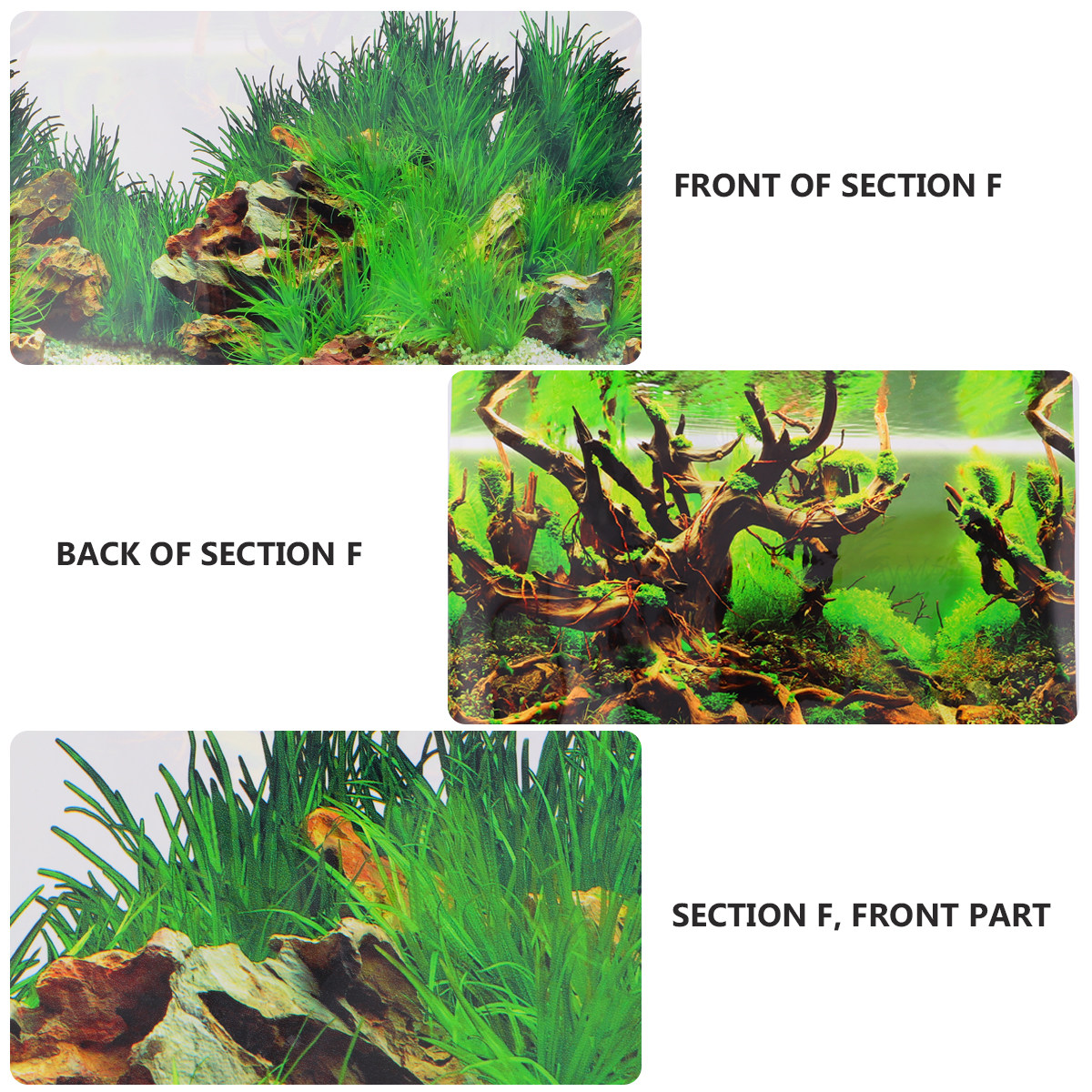 Thick PET Fish Tank Background - Fish In Aquarium Picture recension och pris