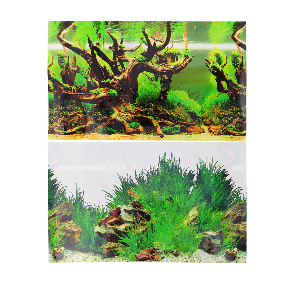 Thick PET Fish Tank Background - Fish In Aquarium Picture recension och pris