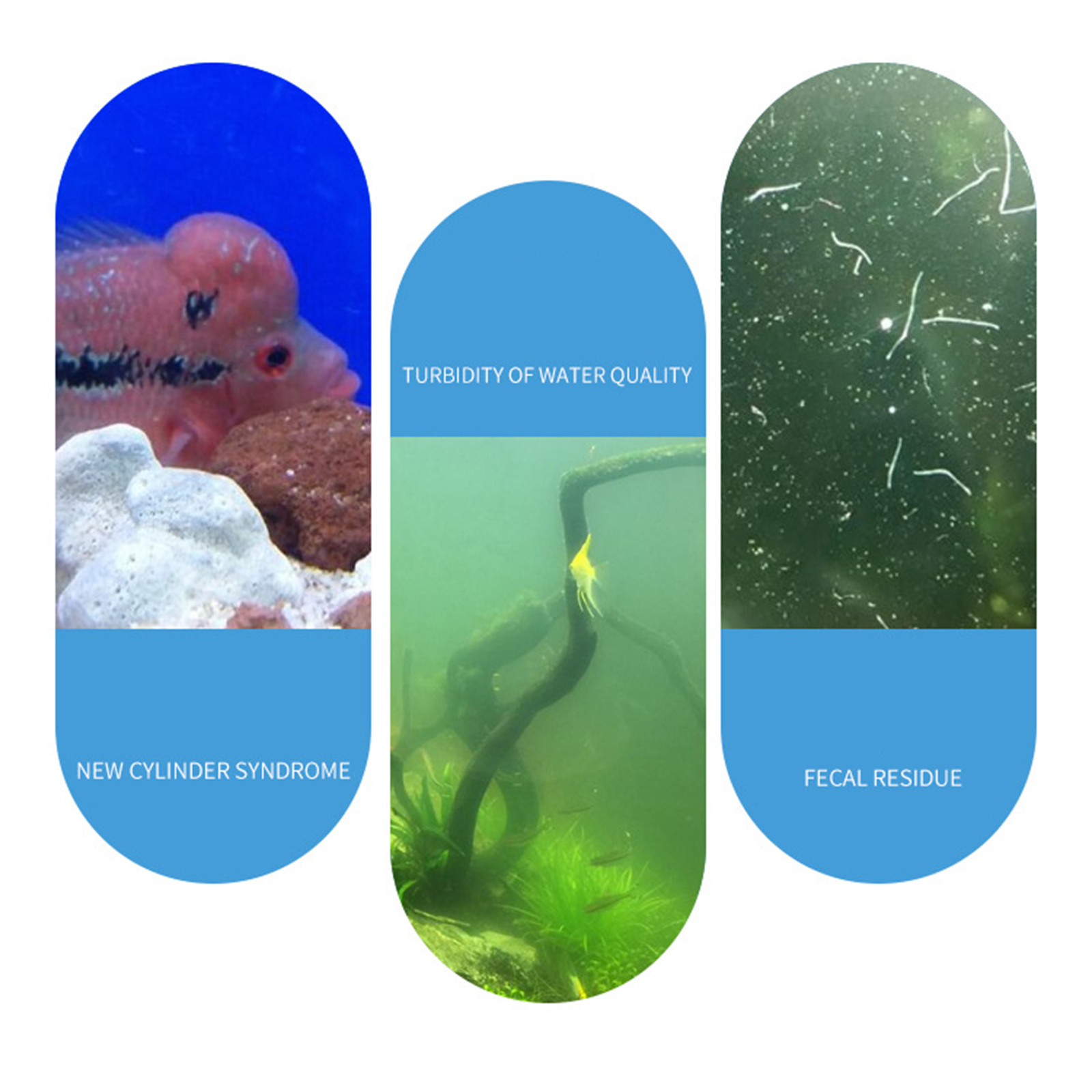 Aquarium Nitrifying Nitrobacte - Aquarium Fish Waste Collector recension och pris