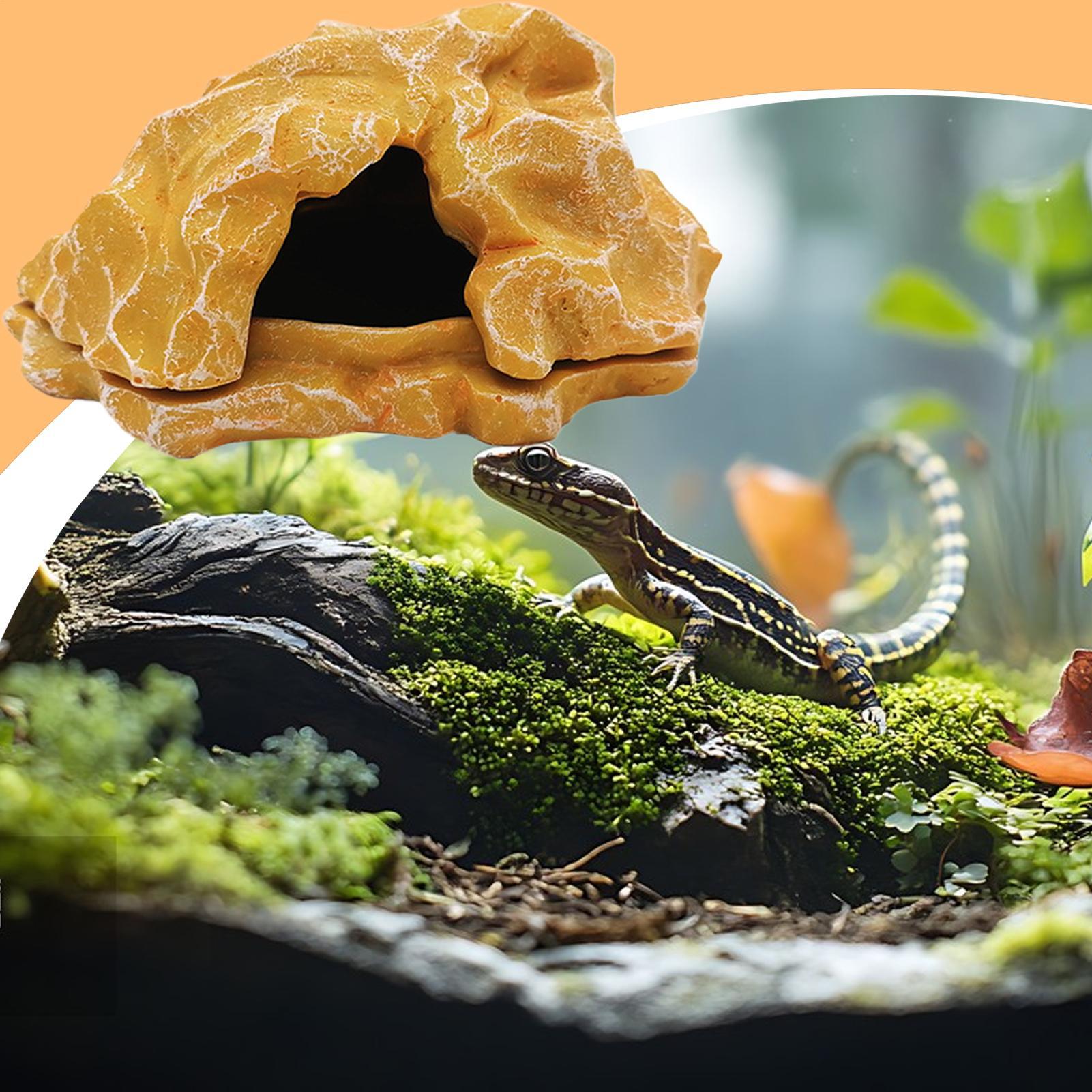 Lizard House Terrarium Resin F - Aquarium Decoration Rock recension och pris