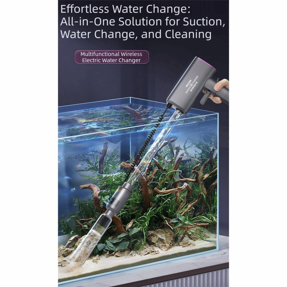 Automatic Automatic Aquarium V - Aquarium Fish Long recension och pris