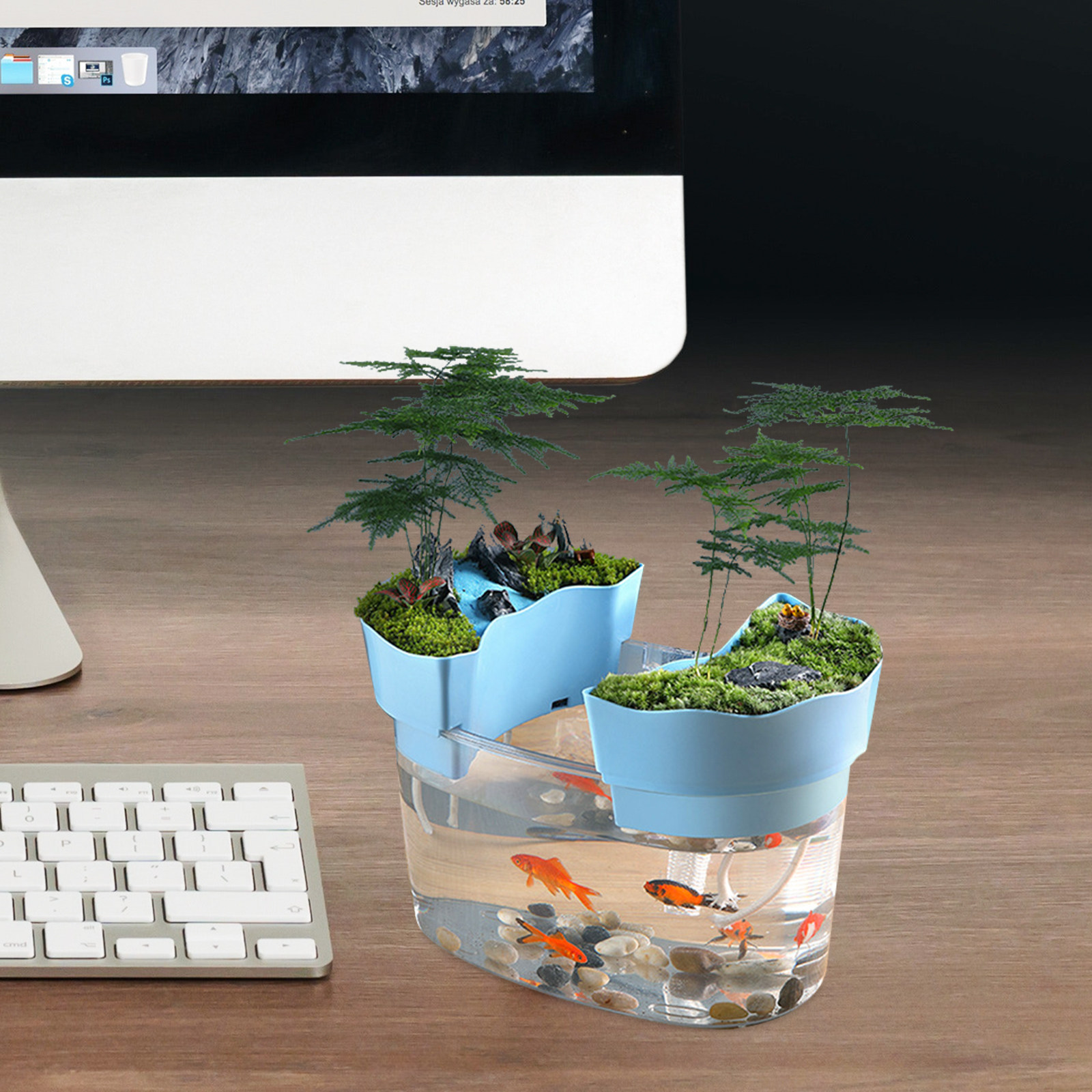 Desktop Small Fish Tank Transp - Aquarium Goldfish recension och pris