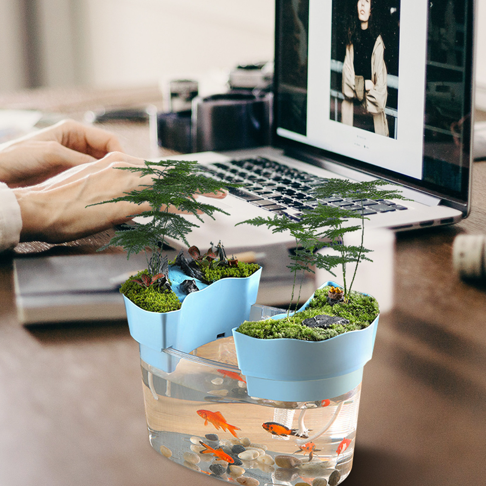 Desktop Small Fish Tank Transp - Aquarium Goldfish recension och pris