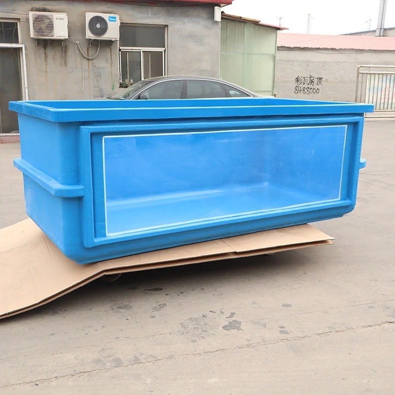 FISH Cheap Sale Supplier High  - Aquarium Fish Supplier recension och pris