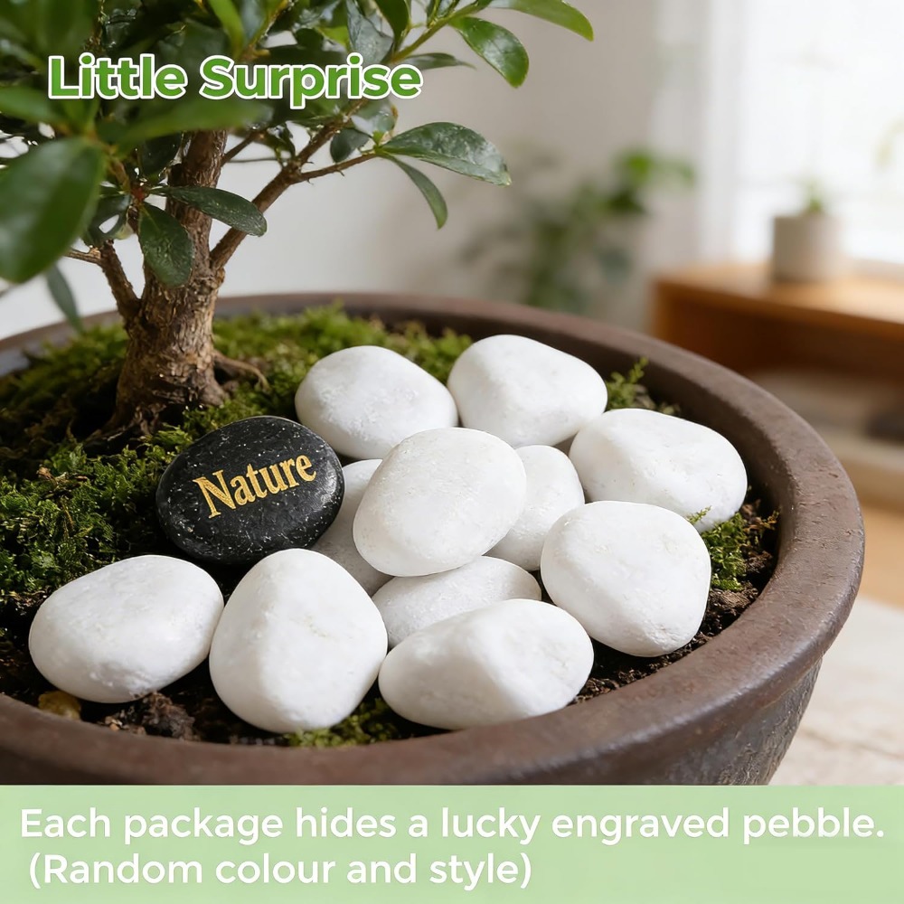 5 lbs White River Rocks, 1.2-2 - Aquarium Decoration Rock recension och pris
