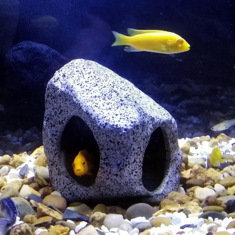 Fish Tank Cave Stone Landscapi - Aquarium Fish Hideout recension och pris