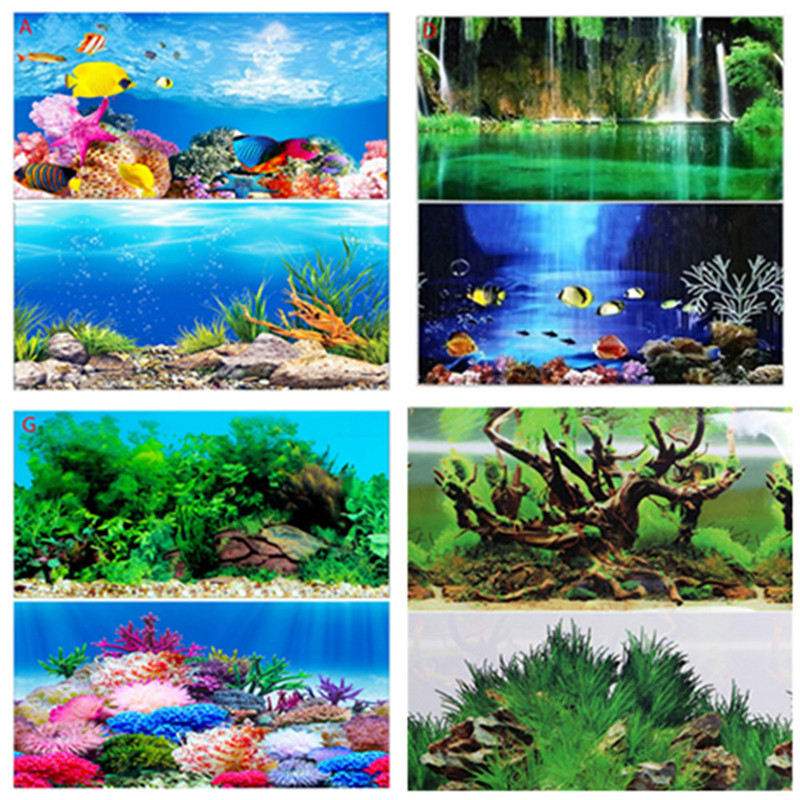 30CM 40CM High Glossy Double S - Fish In Aquarium Picture recension och pris