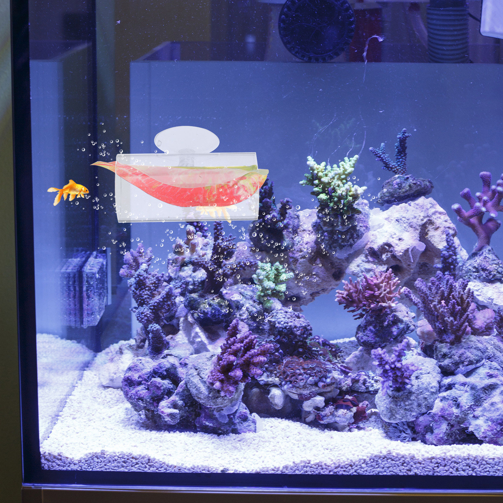 Betta Hide Cave Acrylic Tunnel - Aquarium Fish Hideout recension och pris