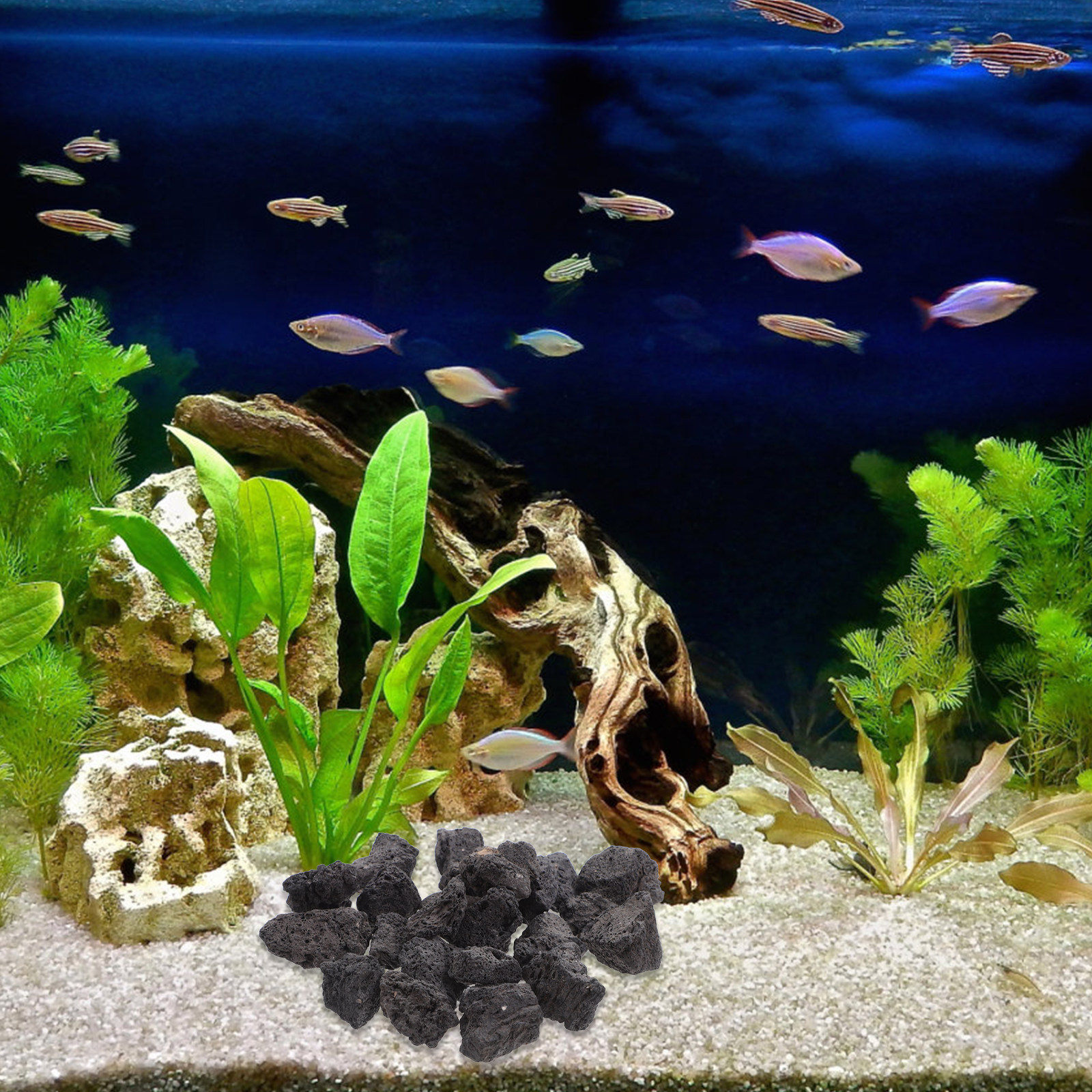 1Pack Volcanic Rocks Natural L - Aquarium Decoration Rock recension och pris