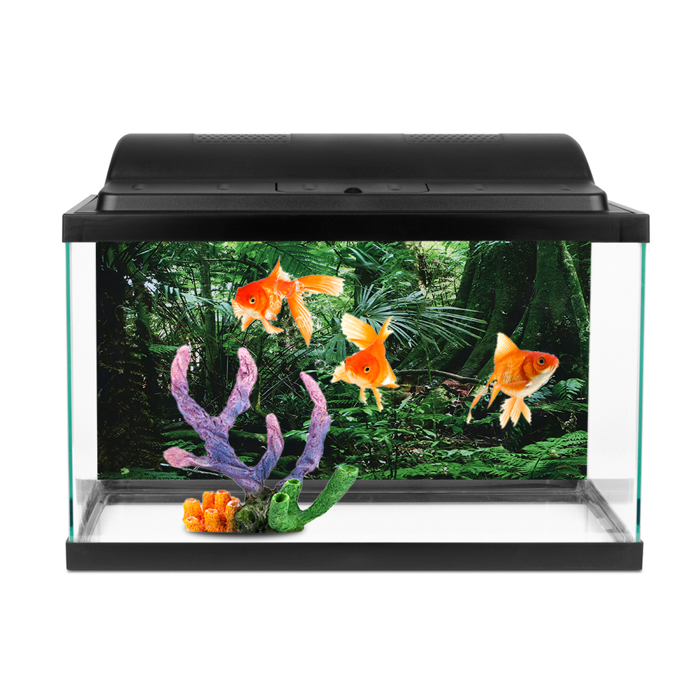 PVC Reptile Box Rainforest Bac - Fish In Aquarium Picture recension och pris